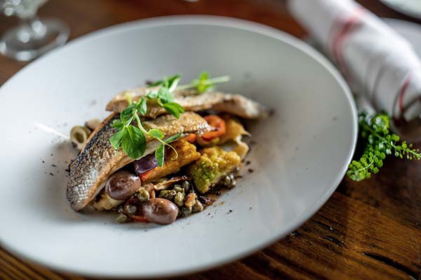 A branzino fish served on a bed of vegetables